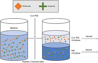 Frontiers | Ionic Liquid Aqueous Two-Phase Systems From A ...